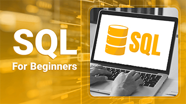 SQL For Beginners