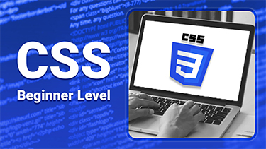 CSS For Beginner